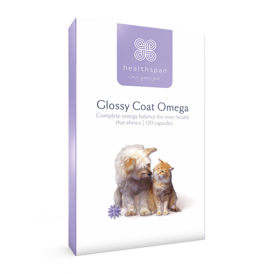 Glossy Coat Omega - 120 capsules